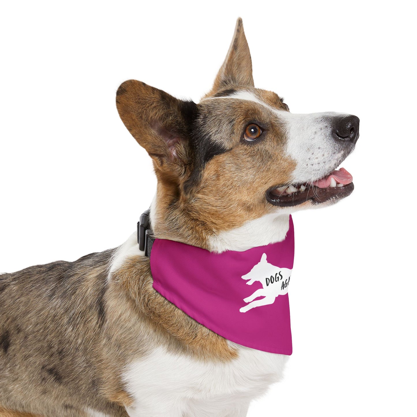 Hot Pink Dogs Against DOGE Lunging Pup Pet Bandana Collar